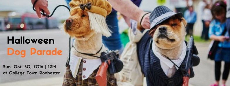 Halloween Dog Parade