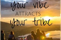 vibe attracts your tribe