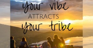 your vibe attracts your tribe
