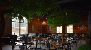 NY Beer Project Chestnut trees