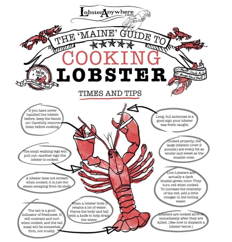 lobster cooking tips