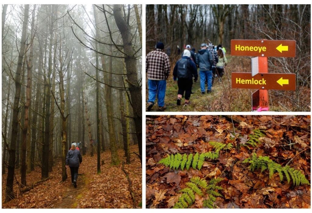 Photos of Harriet Hollister State Park