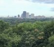 Cobbs Hill View in Rochester NY