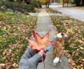 Trying Something New – Behind the Scenes with Amy